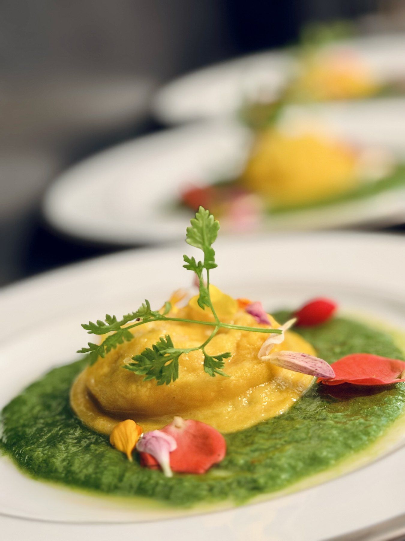Une raviole sur une sauce verte aux herbes, brin de cerfeuil et pétales de fleurs.
