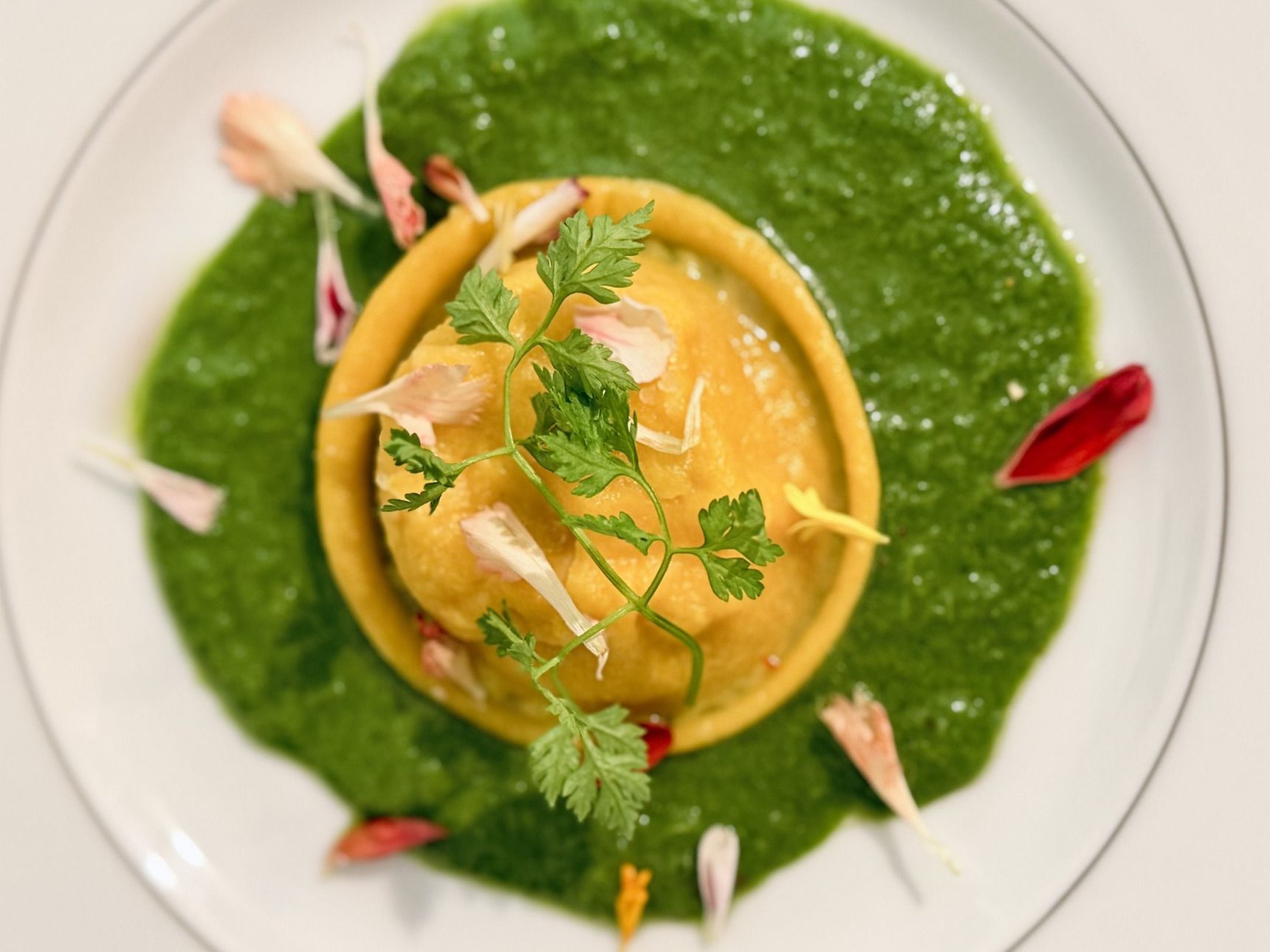 Ravioli on a bright green herb sauce, chervil sprigs and flower petals, on a fine-rimmed white plate.