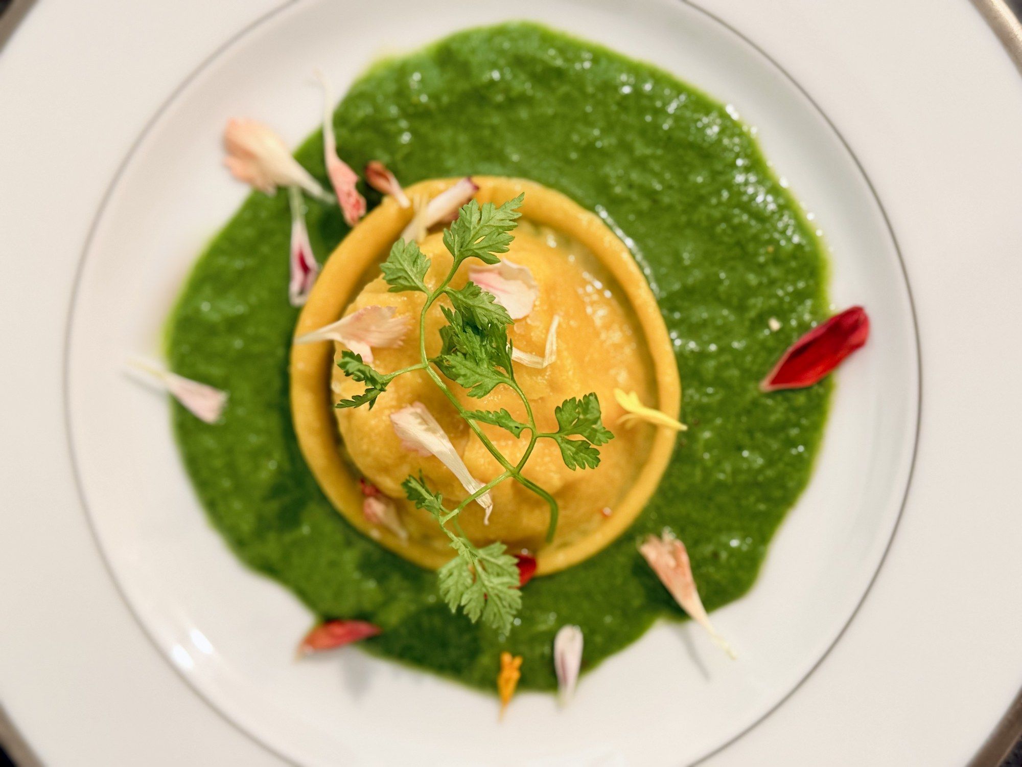 Ravioli on a bright green herb sauce, chervil sprigs and flower petals, on a fine-rimmed white plate.